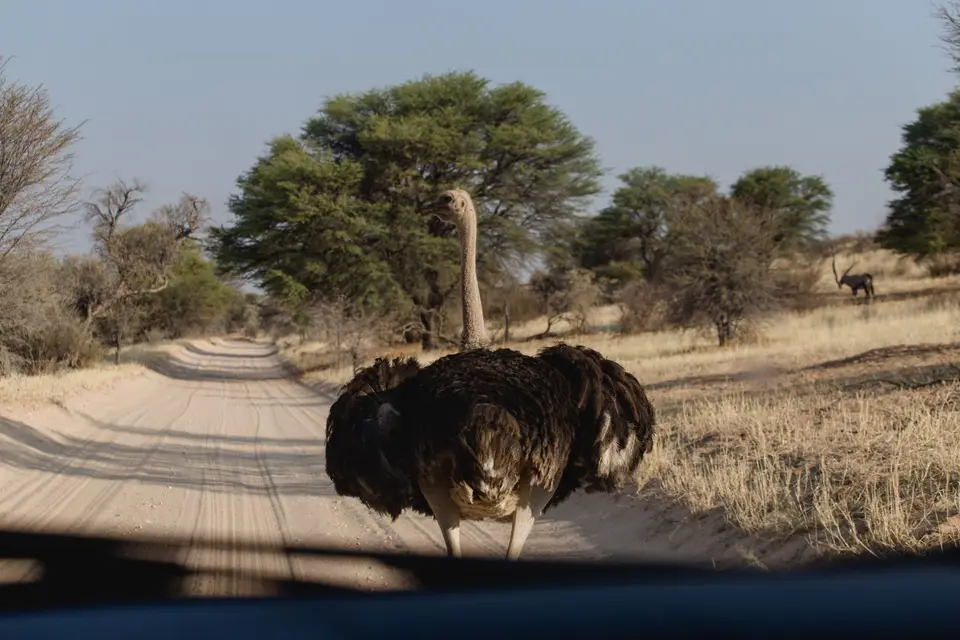 Namibia-124.jpg