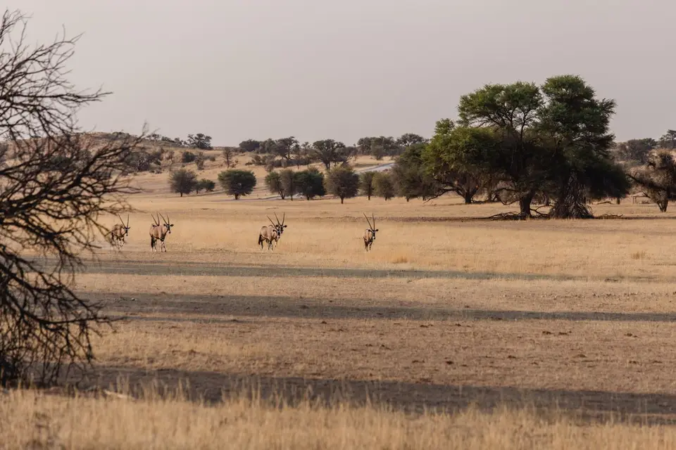 Namibia-126.jpg