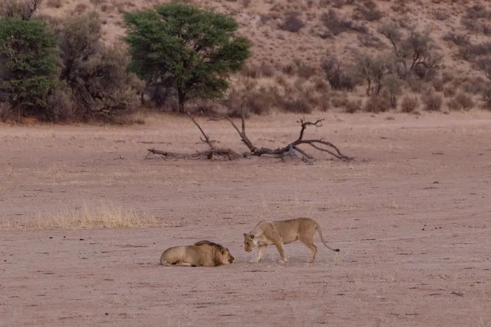 Namibia-132.jpg