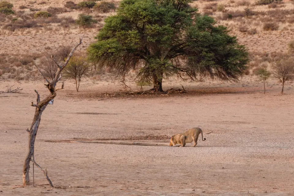 Namibia-142.jpg