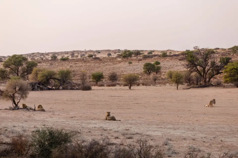 Namibia-145.jpg