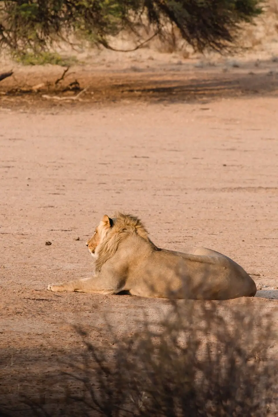 Namibia-146.jpg