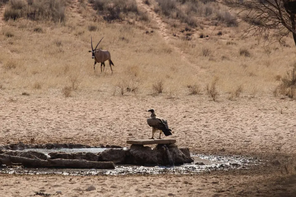 Namibia-150.jpg