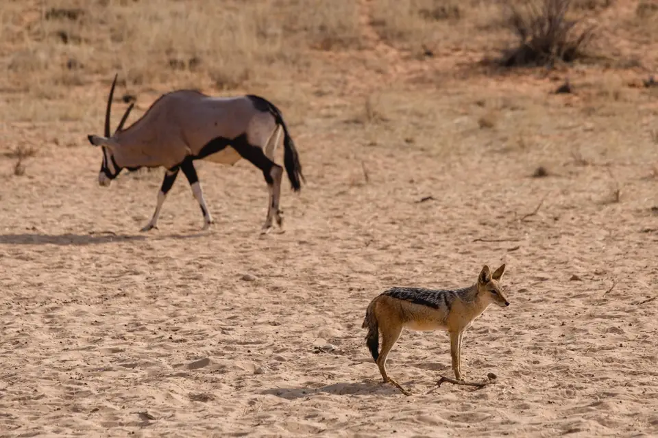 Namibia-154.jpg
