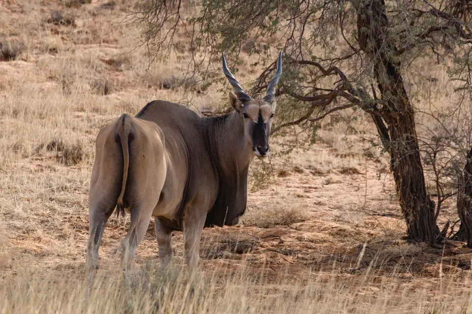 Namibia-155.jpg