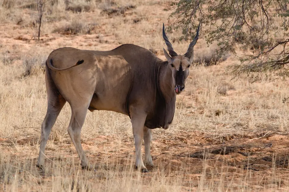 Namibia-158.jpg