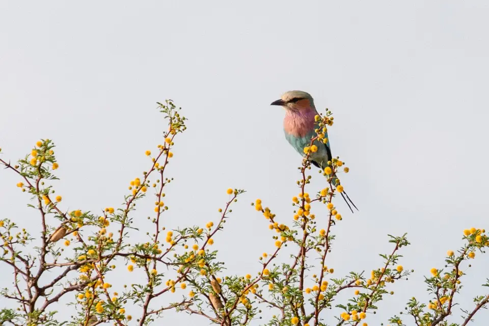 Namibia-16.jpg