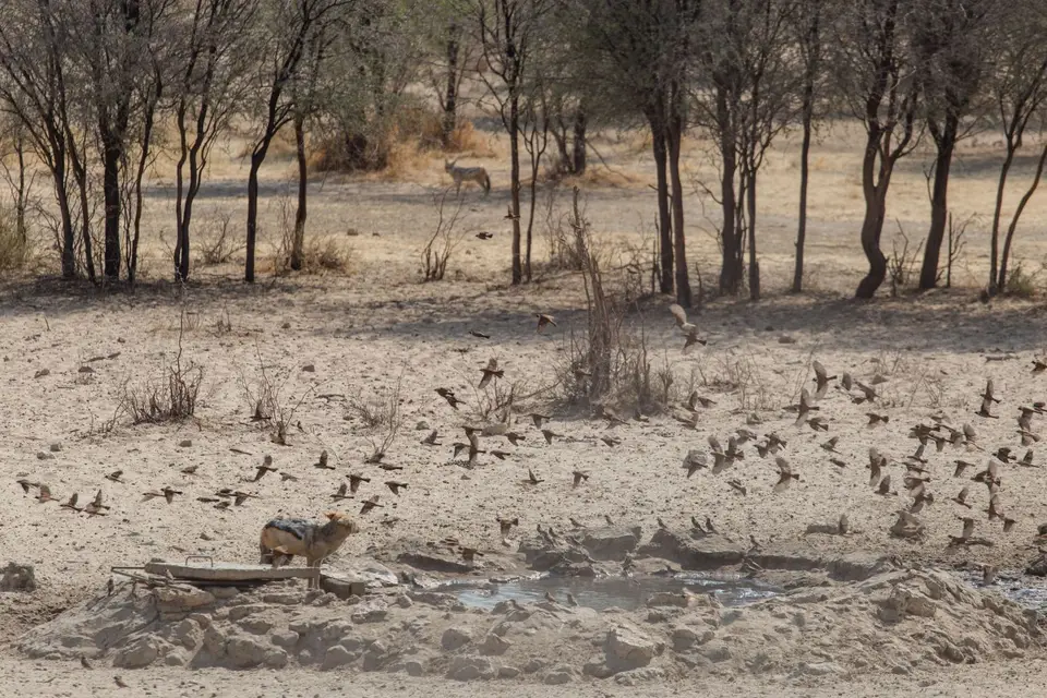 Namibia-161.jpg