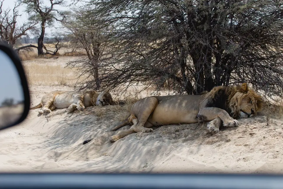 Namibia-167.jpg