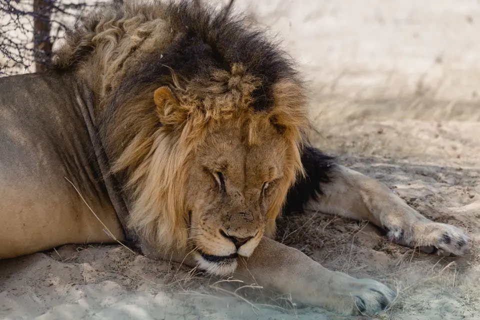 Namibia-170.jpg