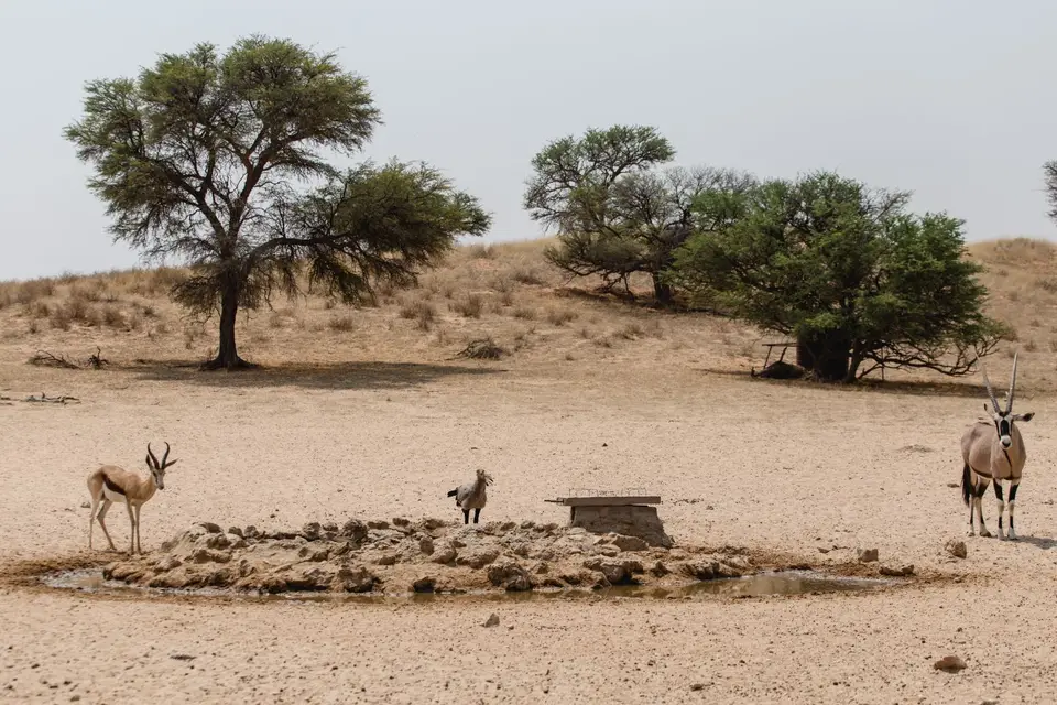 Namibia-187.jpg