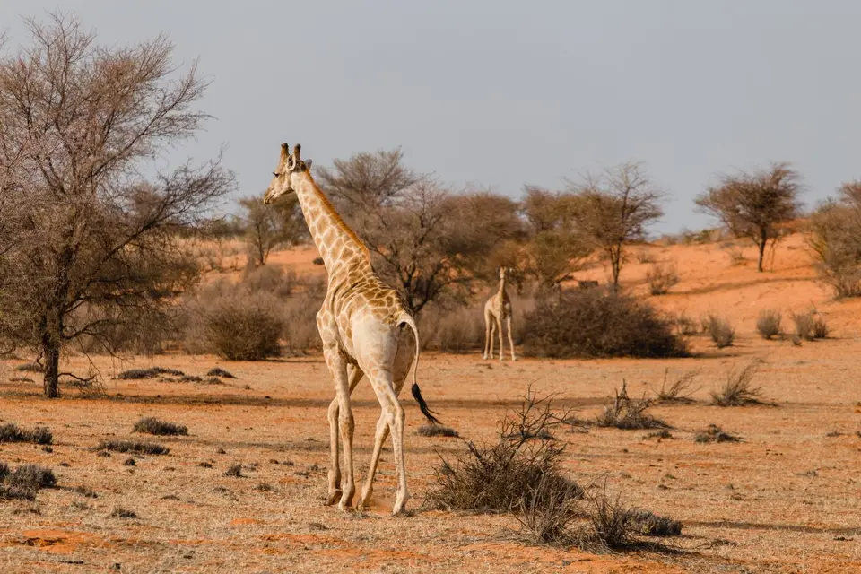 Namibia-19.jpg
