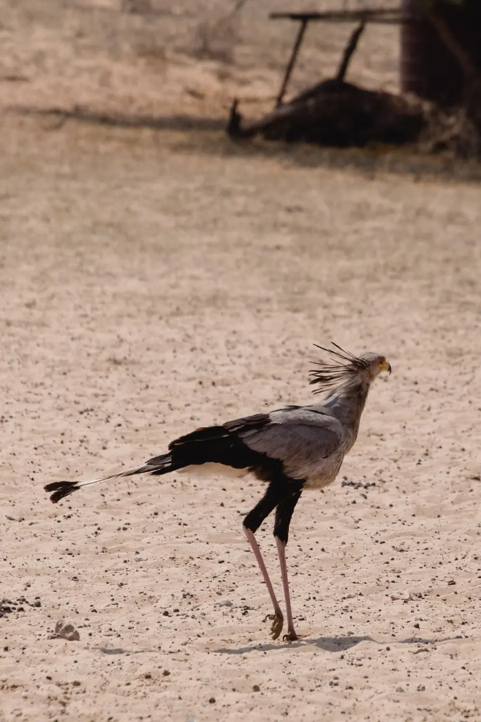 Namibia-190.jpg