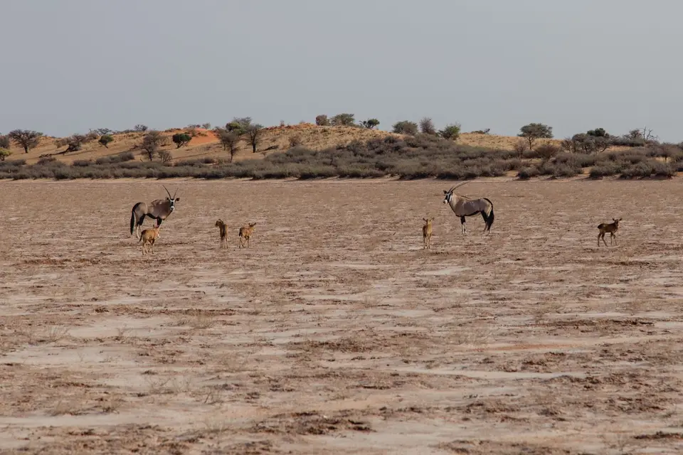 Namibia-22.jpg