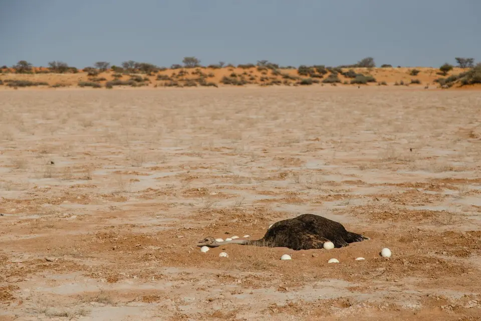 Namibia-23.jpg