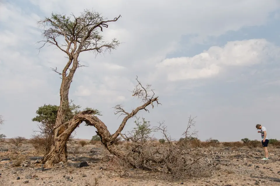 Namibia-246.jpg