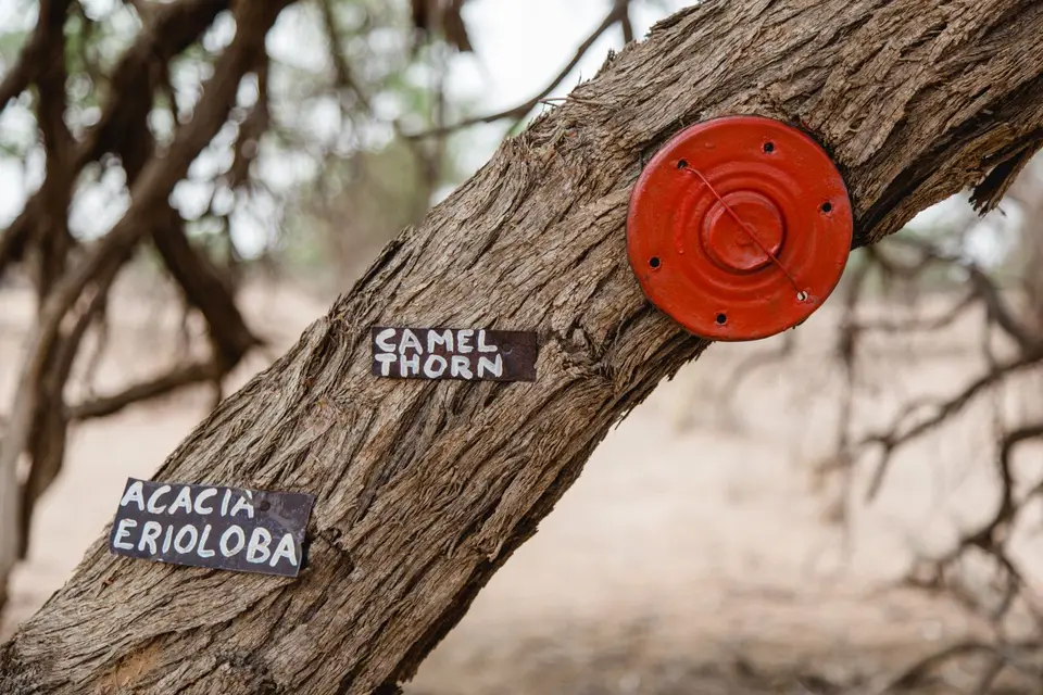Namibia-248.jpg