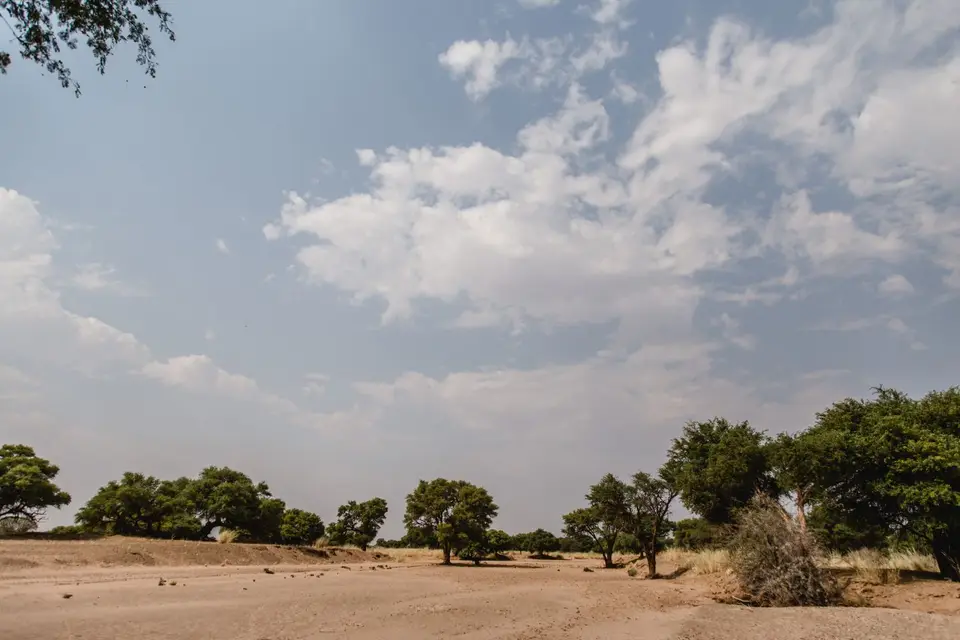 Namibia-256.jpg