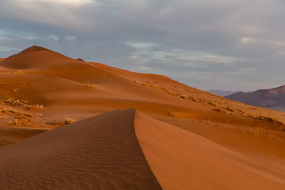 Namibia-375.jpg