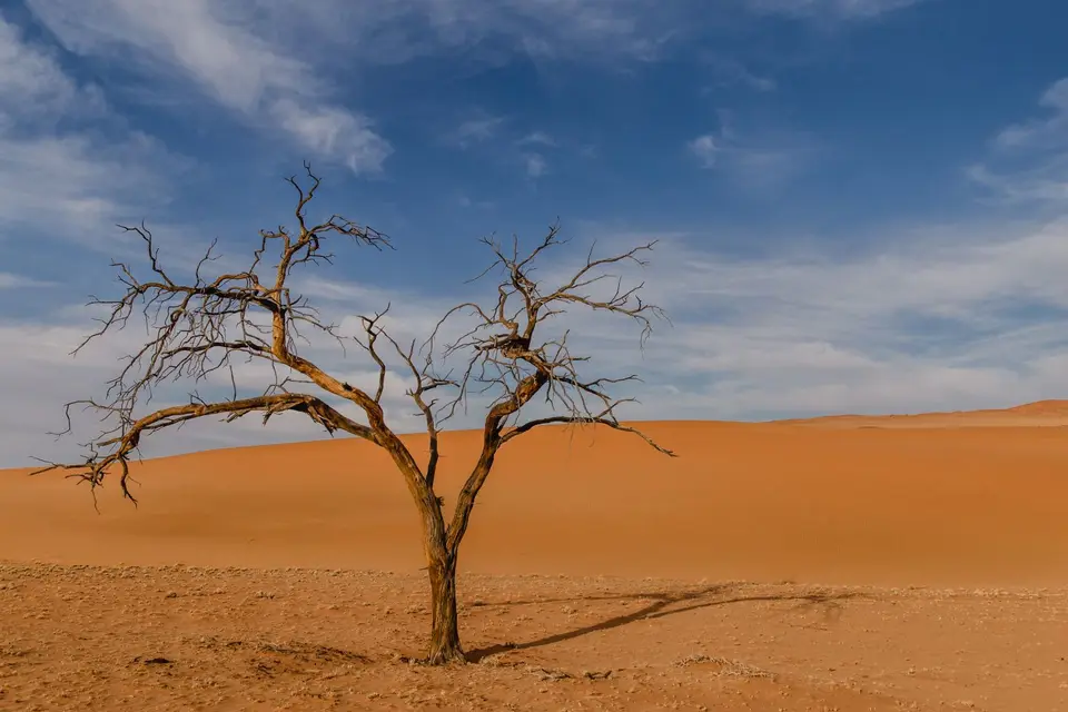 Namibia-394.jpg