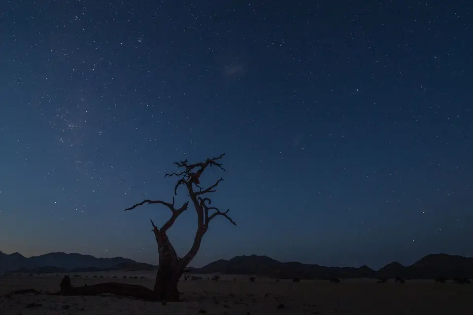 Namibia-417.jpg