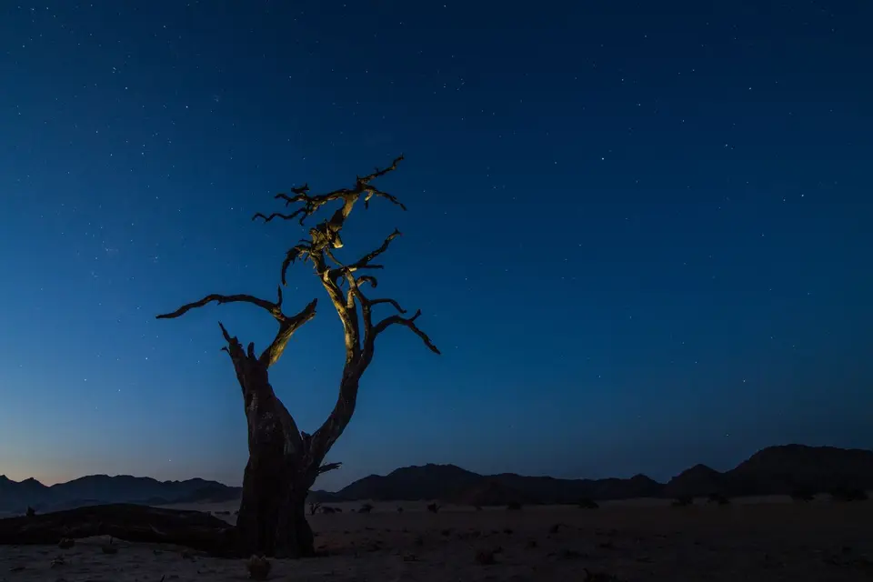 Namibia-418.jpg
