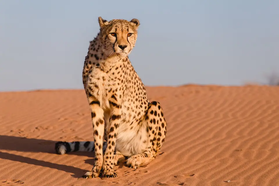 Namibia-462.jpg