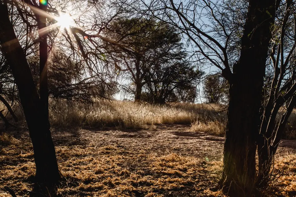 Namibia-50.jpg