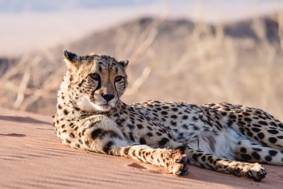 Namibia-504.jpg