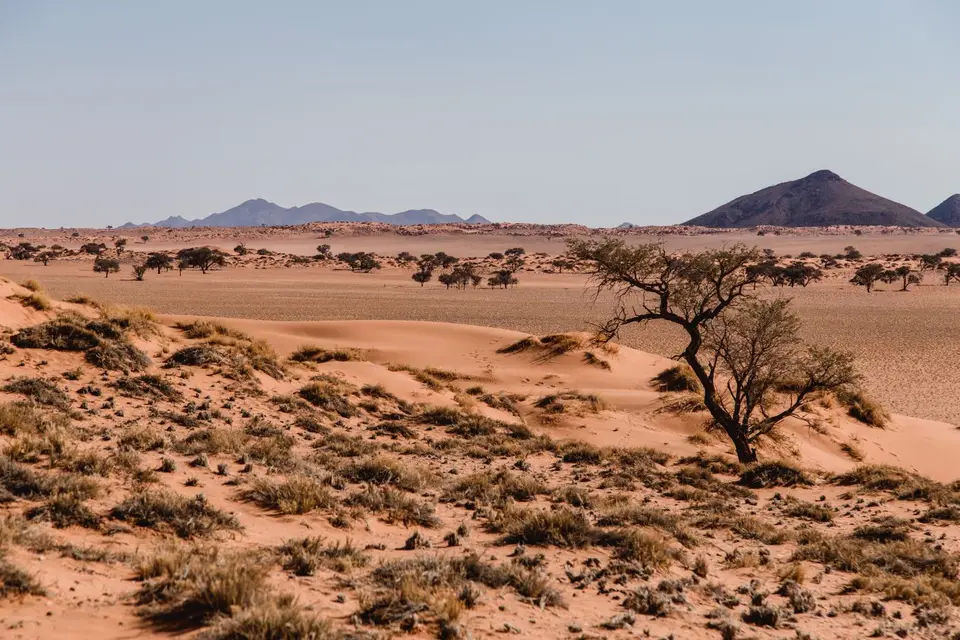 Namibia-510.jpg