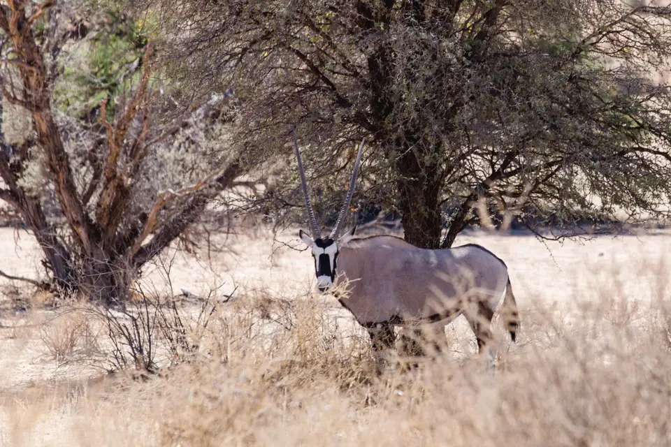 Namibia-57.jpg