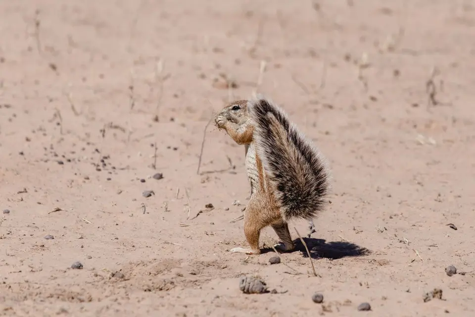 Namibia-59.jpg