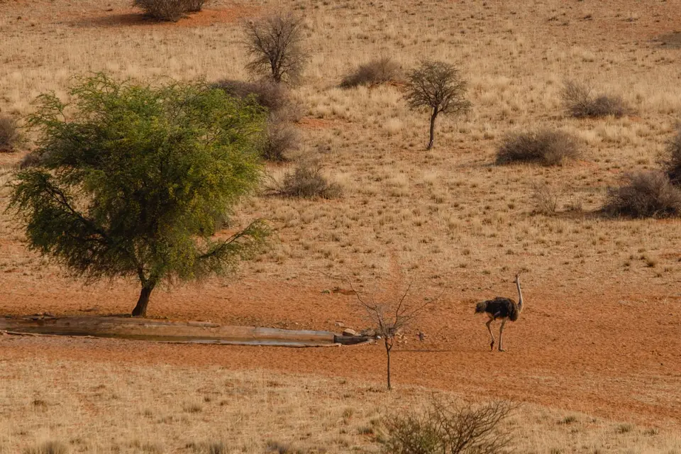 Namibia-6.jpg
