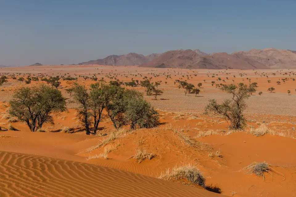 Namibia-600.jpg