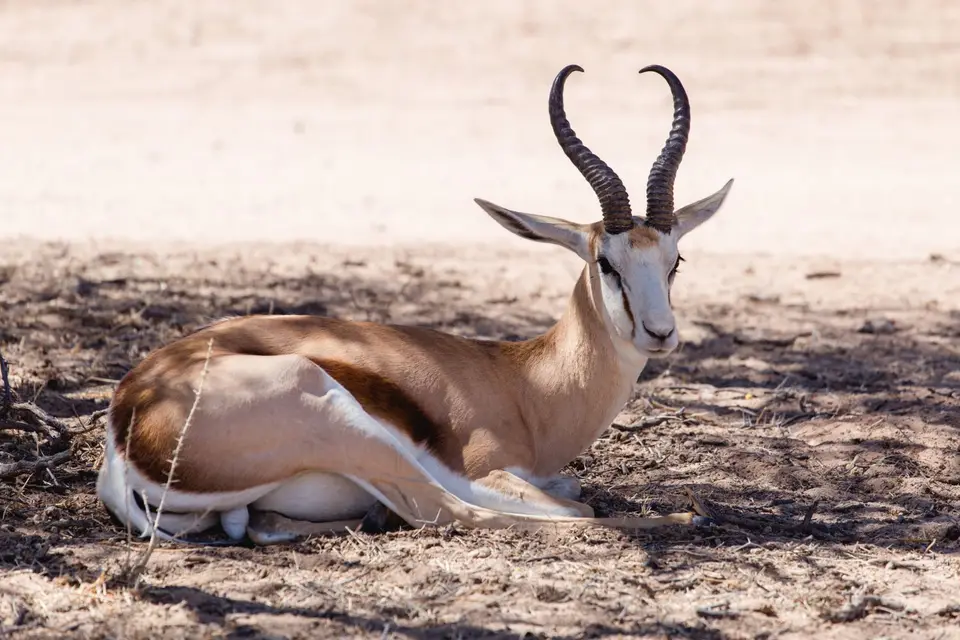 Namibia-61.jpg