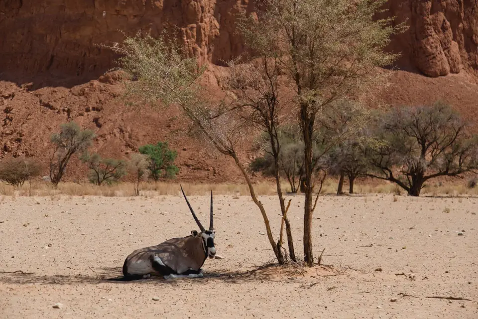 Namibia-611.jpg