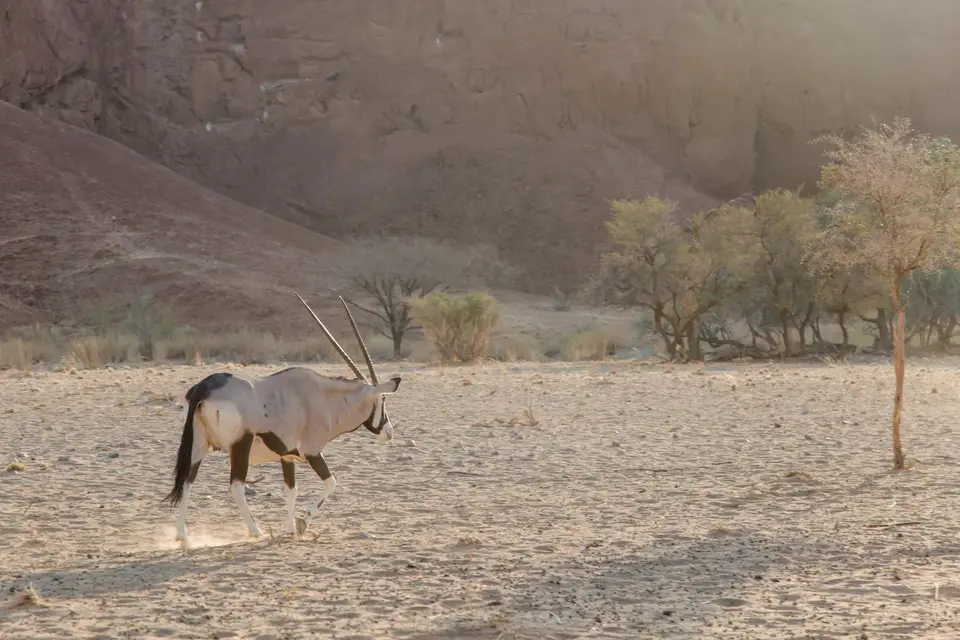 Namibia-613.jpg