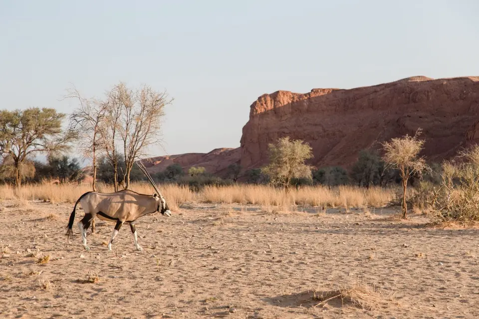 Namibia-614(0).jpg
