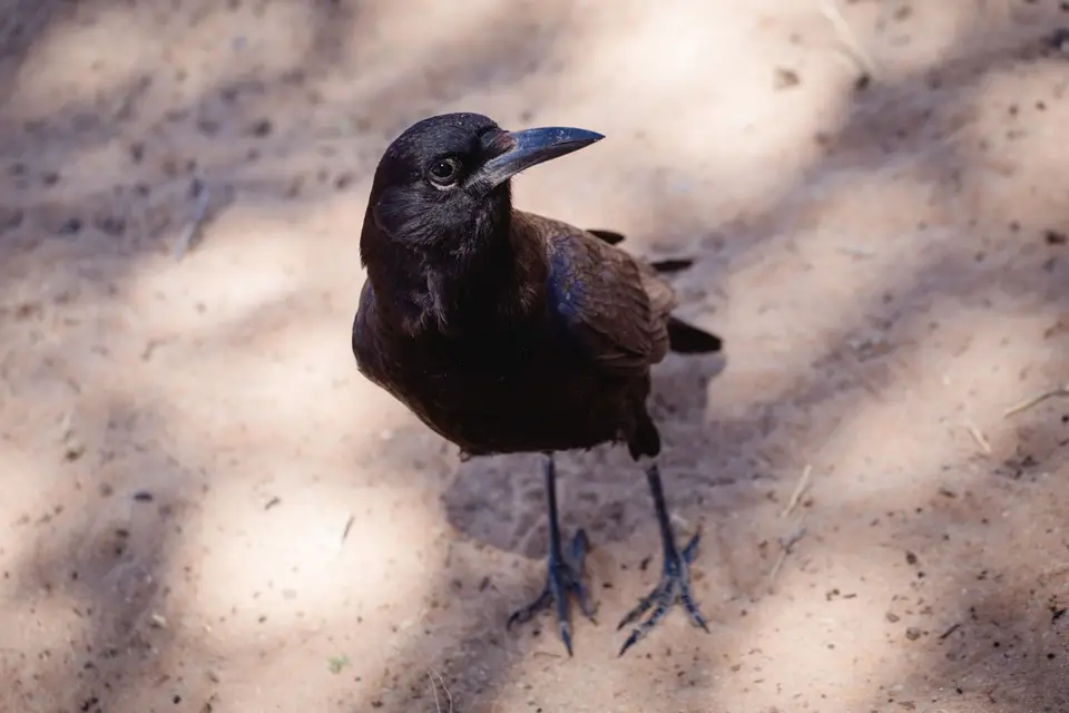 Namibia-66.jpg