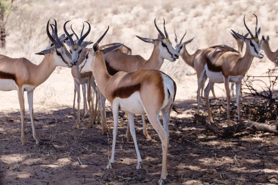 Namibia-70.jpg