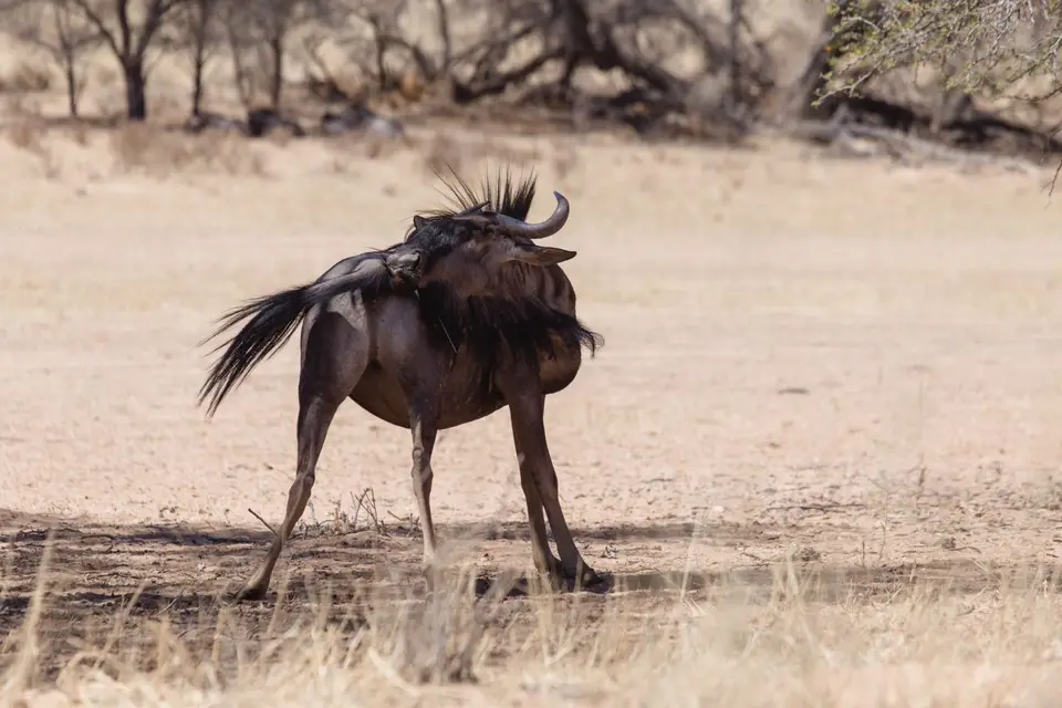 Namibia-71.jpg