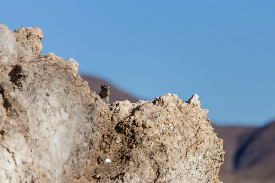 Namibia-710.jpg