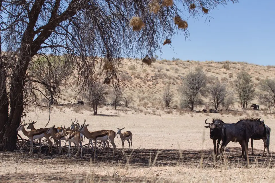 Namibia-72.jpg
