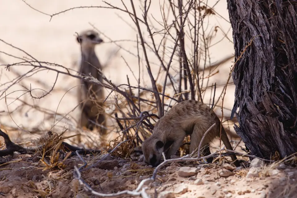 Namibia-73.jpg