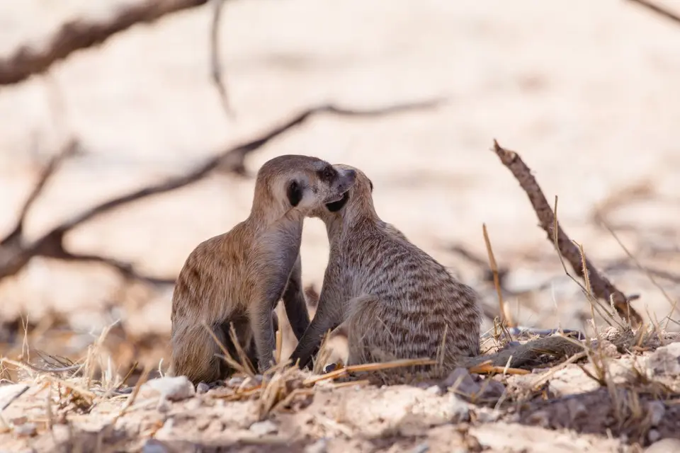 Namibia-76.jpg