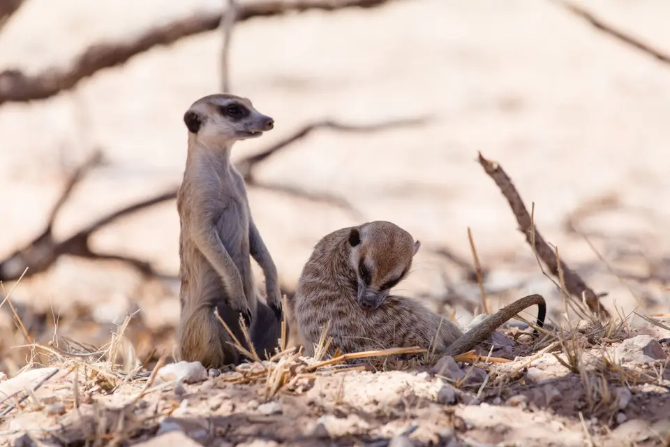 Namibia-77.jpg