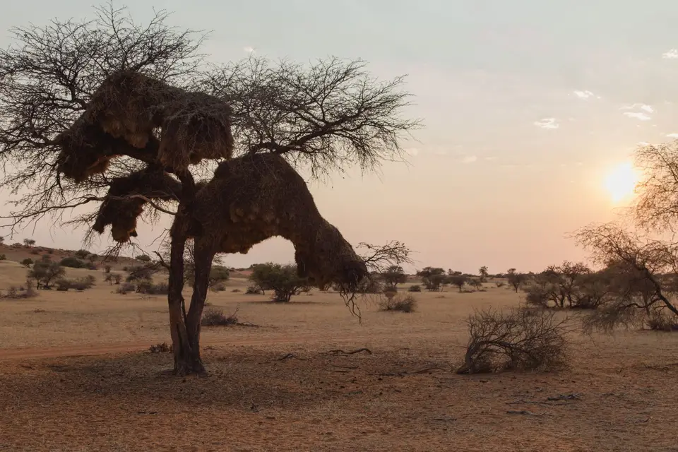 Namibia-8.jpg
