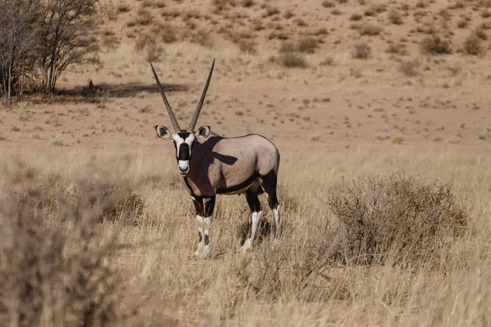 Namibia-84.jpg