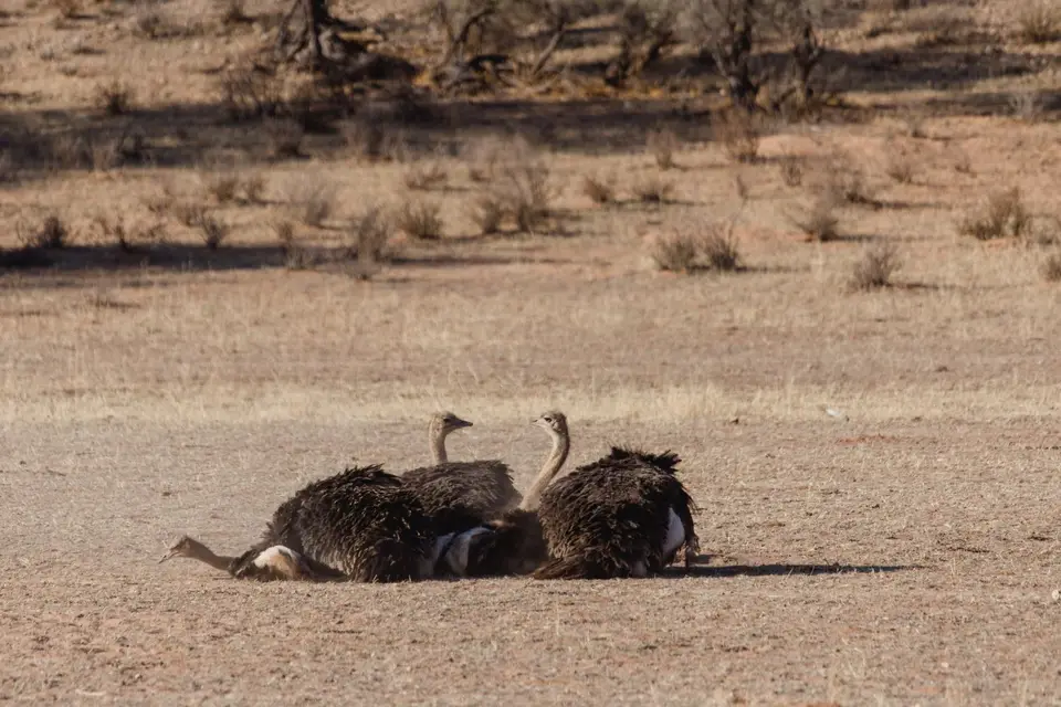 Namibia-85.jpg