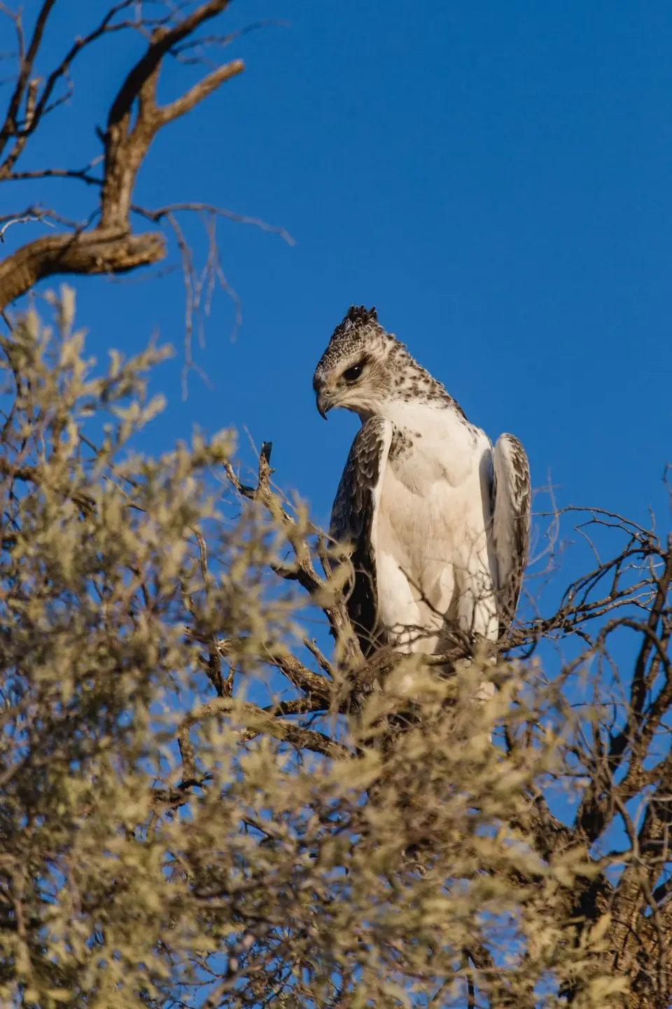 Namibia-87.jpg